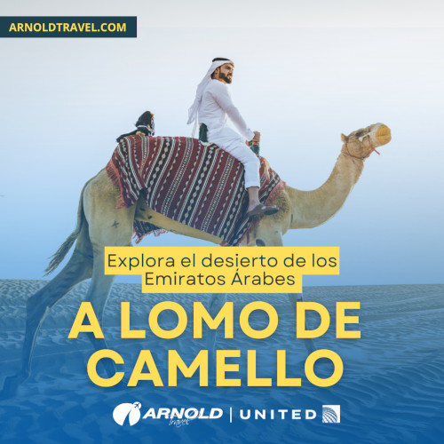A lomo de Camello